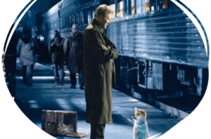 Life-Lessons-Come-in-All-Sizes-A-Story-About-Loyalty-HACHIKO